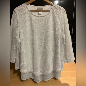 Alfred Dunner Silver Textured Blouse